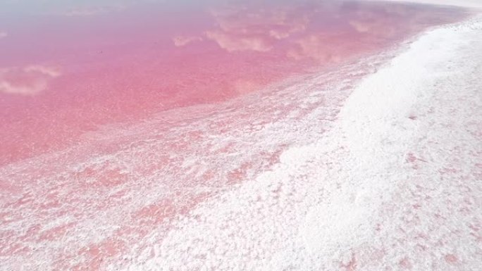 异国情调的水疗度假村自然美景粉色盐湖