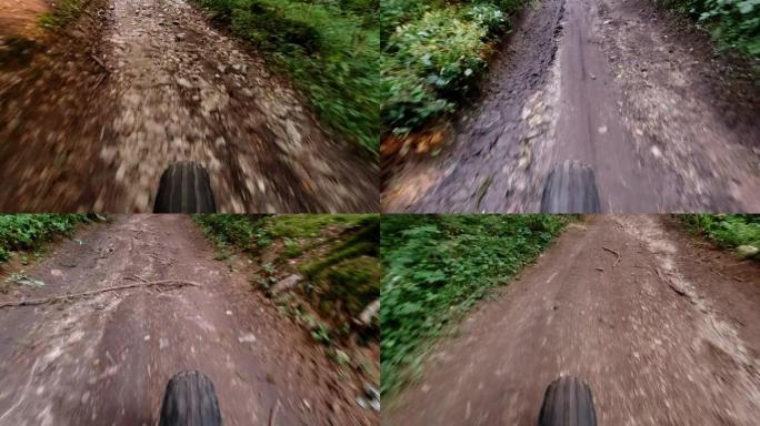 在秋天的森林里骑胖子