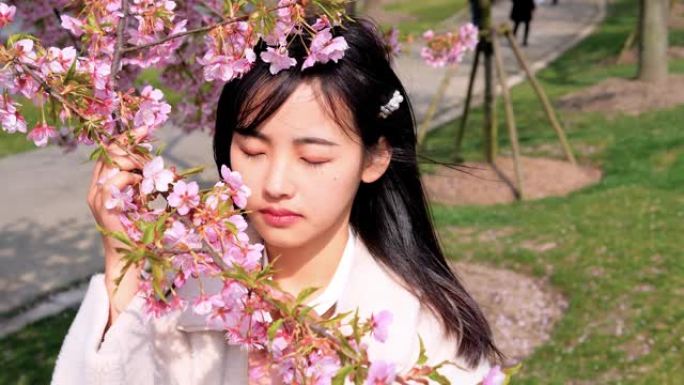 美丽的中国年轻女子穿着白大褂，拿着粉红色的樱花树枝，闭上眼睛，享受微风吹拂她黑色的长发，春天的美丽，