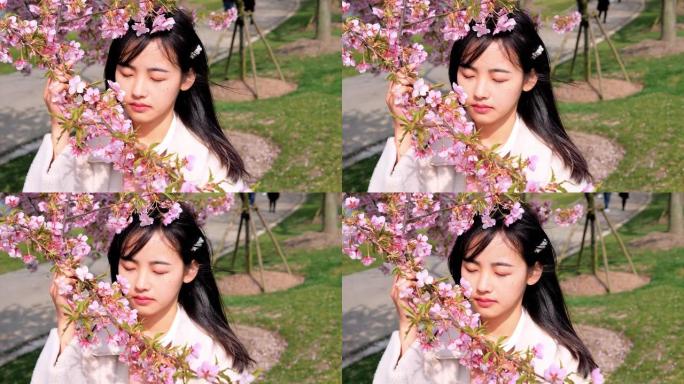 美丽的中国年轻女子穿着白大褂，拿着粉红色的樱花树枝，闭上眼睛，享受微风吹拂她黑色的长发，春天的美丽，