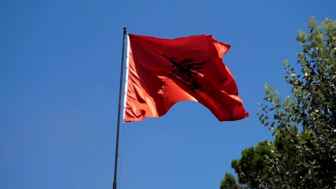 地拉那斯坎德培广场风中飘扬的阿尔巴尼亚国旗 -- 慢动作