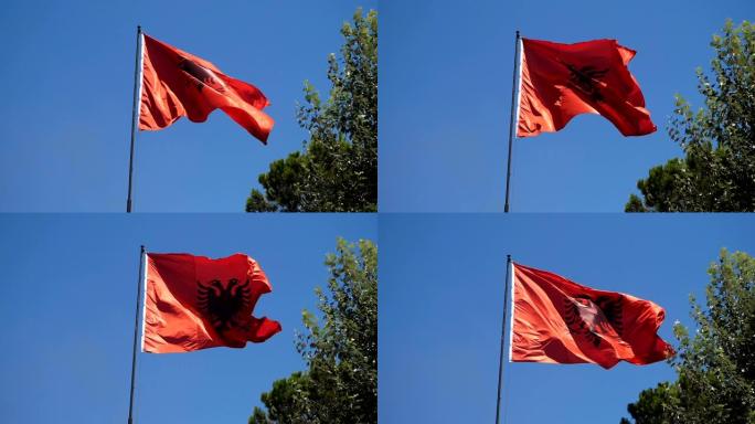 地拉那斯坎德培广场风中飘扬的阿尔巴尼亚国旗 -- 慢动作