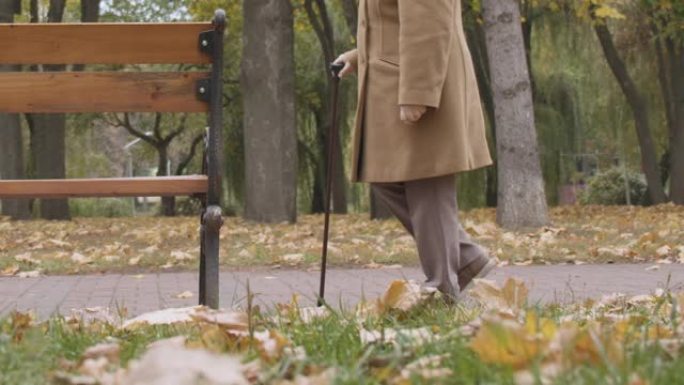 老年妇女用拐杖走路，坐在公园的长凳上，肌肉无力