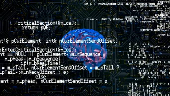 大脑和带有程序代码的数字电路