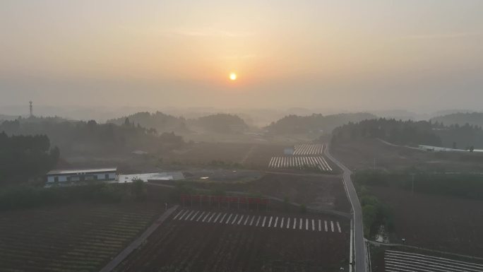 仁寿县农业园区育秧中心航拍素材