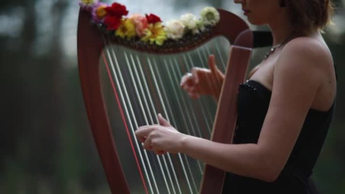 女竖琴手站着，穿着漂亮的裙子弹奏竖琴。