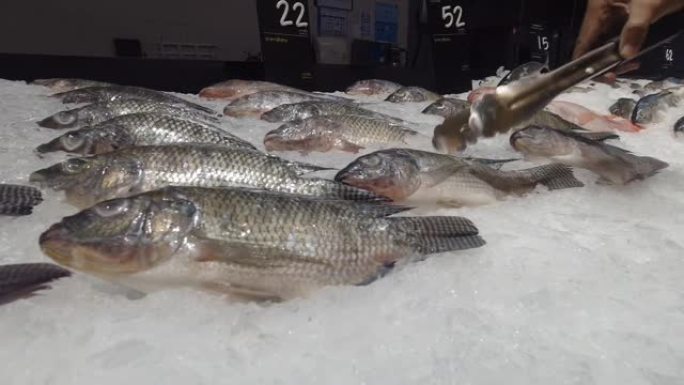 消费者在海鲜市场采摘尼罗罗非鱼