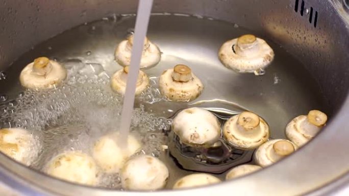 香菇的特写镜头漂浮在水槽的水中。