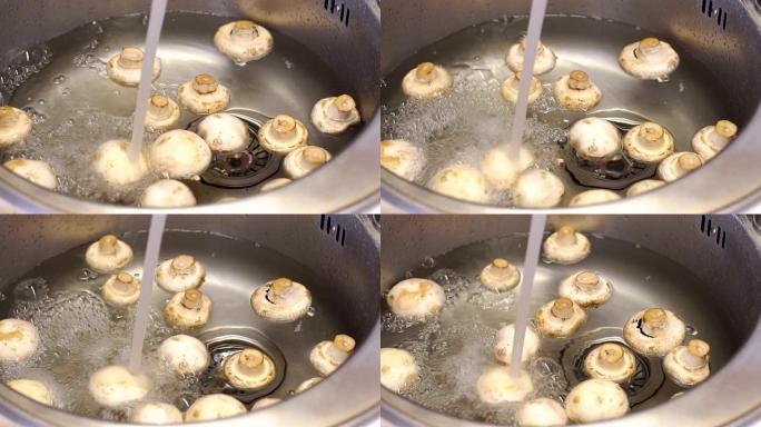 香菇的特写镜头漂浮在水槽的水中。