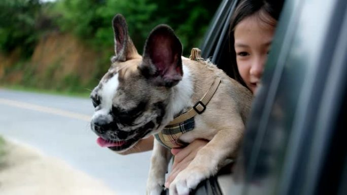 女孩和小狗开车环游乡村，兴奋地打开窗户。