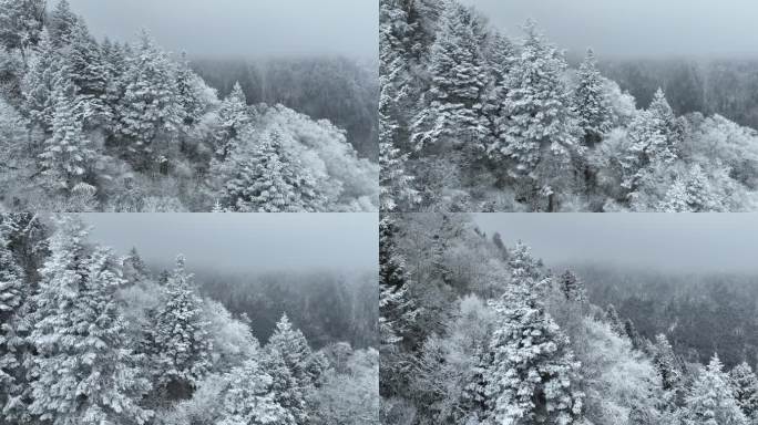 航拍阿坝理县孟屯河谷雪景