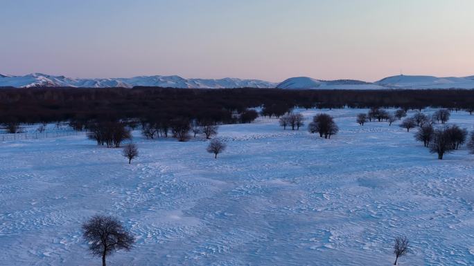 航拍4K湿地雪原树林曙光