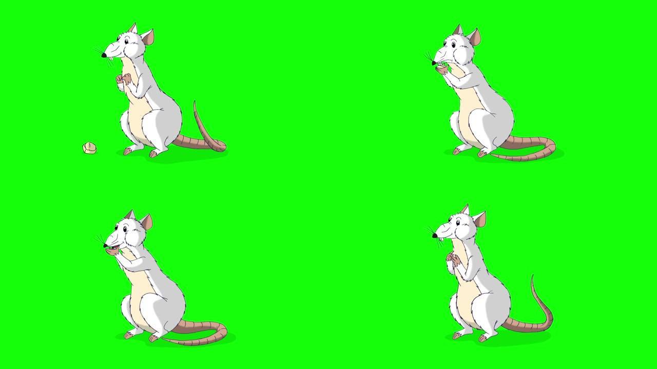 白鼠爬出来吃奶酪动画色键