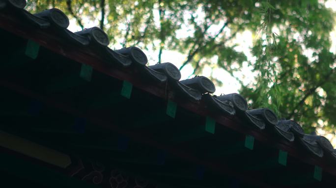 【正版素材】绿色自然古建筑屋脊
