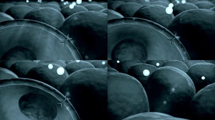 分子的结构分子的结构