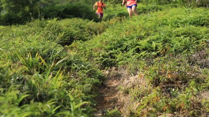 两名女子超级马拉松运动员在热带雨林的山坡上下坡，慢动作