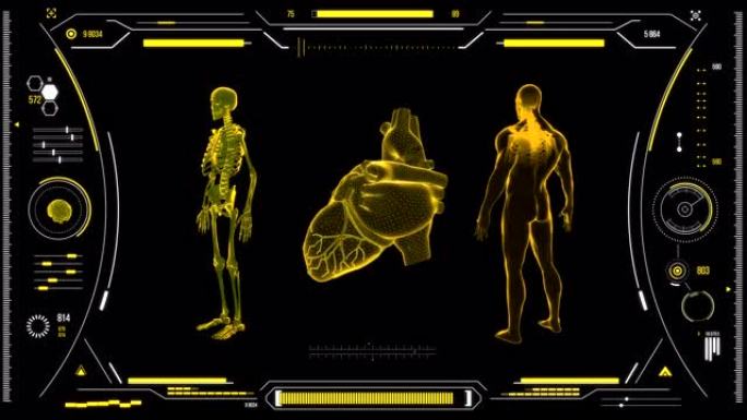 人体心脏扫描。具有HUD和信息图表元素的未来医学用户界面。虚拟技术背景。用于商业，游戏，运动设计，w