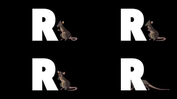 背景上的字母R和Rat
