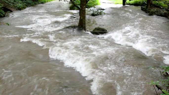 水从天然林的高处流下来。