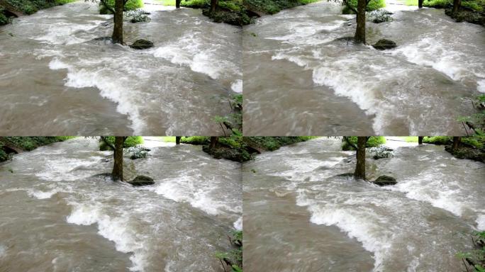 水从天然林的高处流下来。