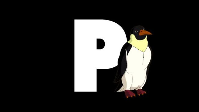字母P和企鹅在前景