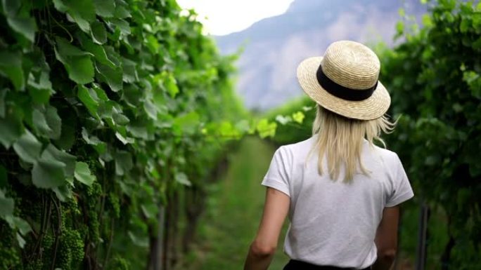 在乡村旅游休息期间，穿着海沟帽子和衬衫的女性在葡萄园种植园行走的复制空间