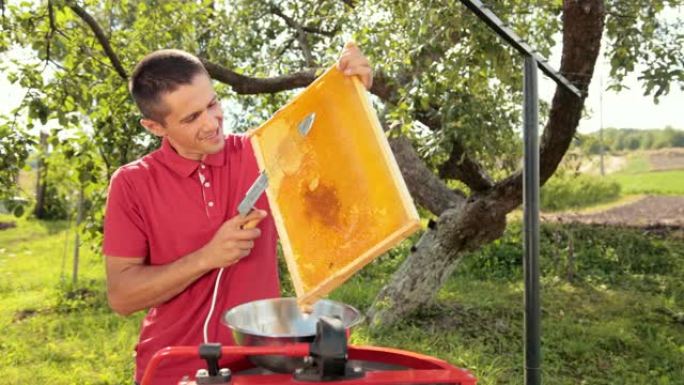 养蜂人用特殊的电刀从蜂窝框架上切割蜡