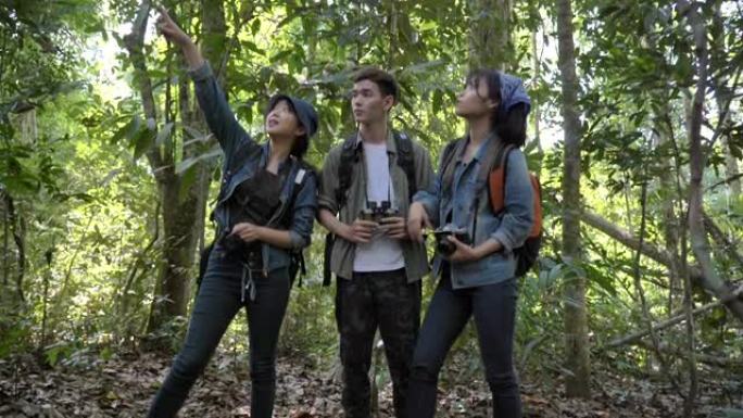 一群十几岁的亚洲背包客在森林里徒步旅行，在暑假里一起享受快乐。他们很开心，在假期放松的时候玩得开心。