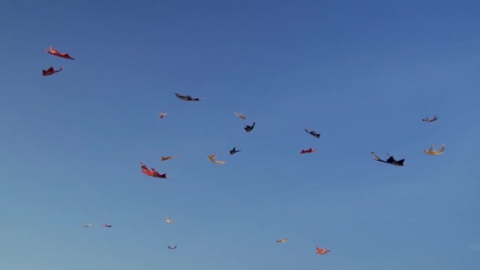 风筝在蓝天中飞翔-60fps