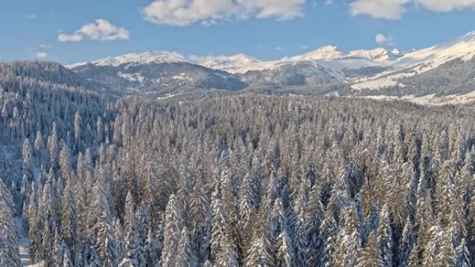 Laax森林冬季景观天线4k