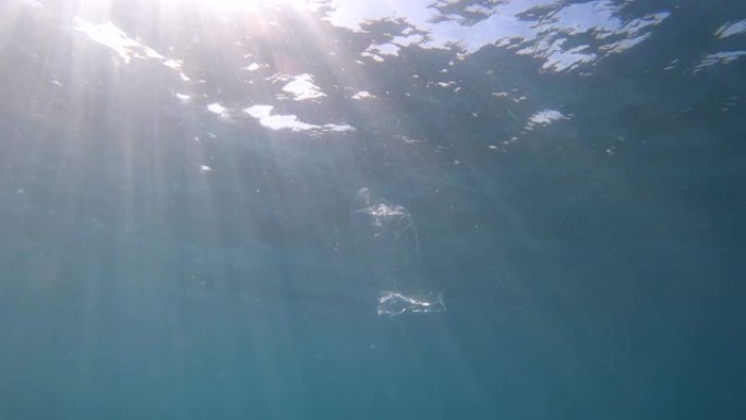 海里的垃圾。肮脏的大海。