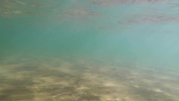 蓝色海水沙底阳光折射，水下循环就绪背景