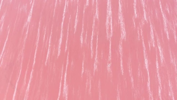 乌克兰粉红色的Siwash湖水域和spumy条纹的空中拍摄