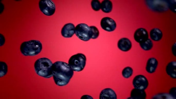 蓝莓在慢动作的红色背景上飞行