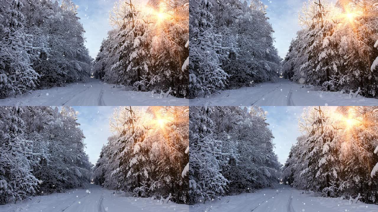 童话冬季森林-4k循环