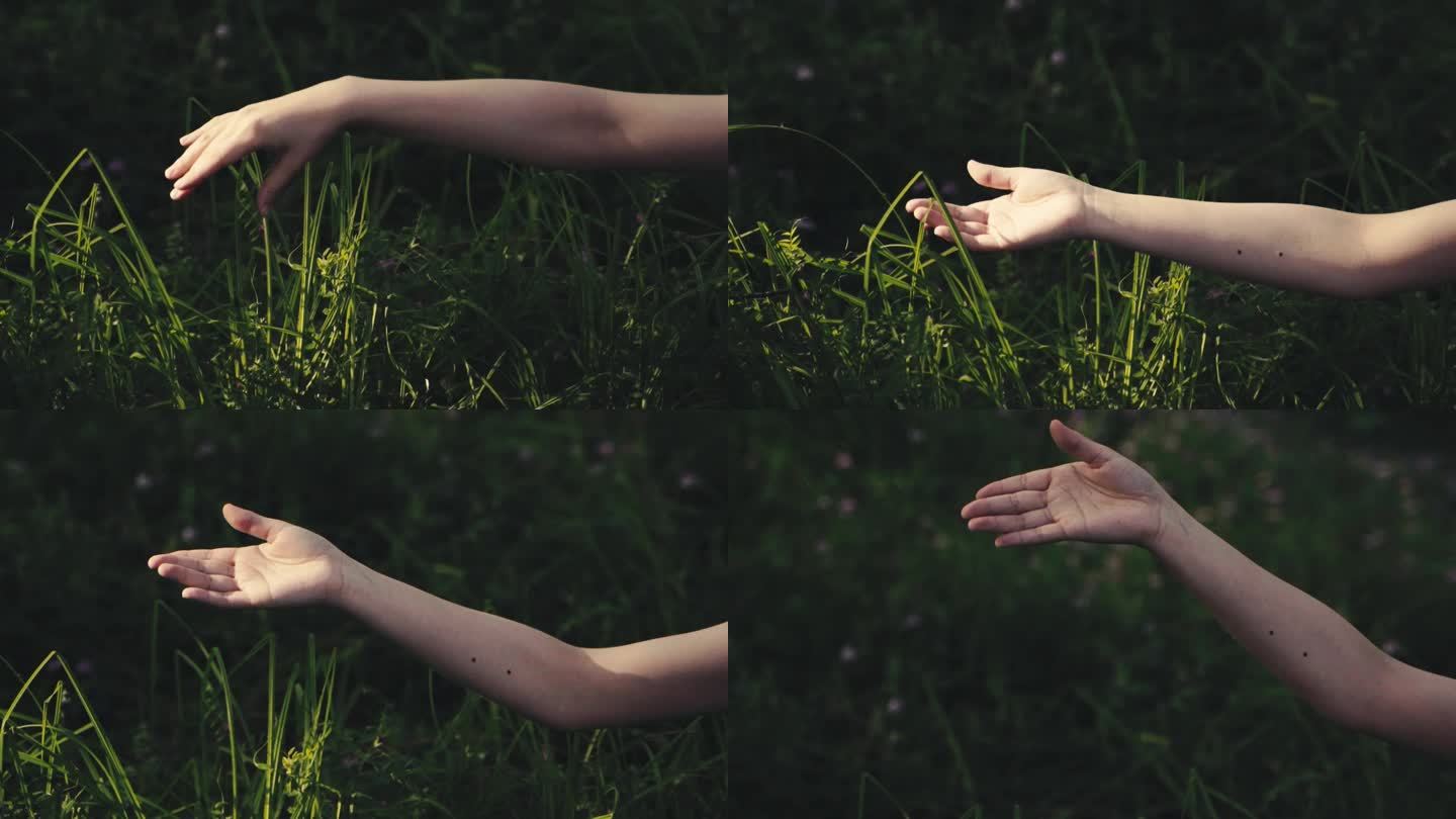草丛里女孩的手臂小清新