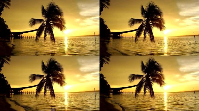 椰子树对抗五颜六色的日落，禁闭。
