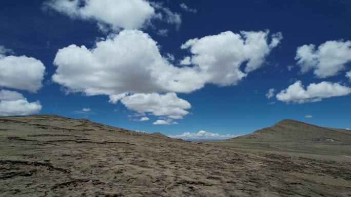 西藏高原山顶草甸