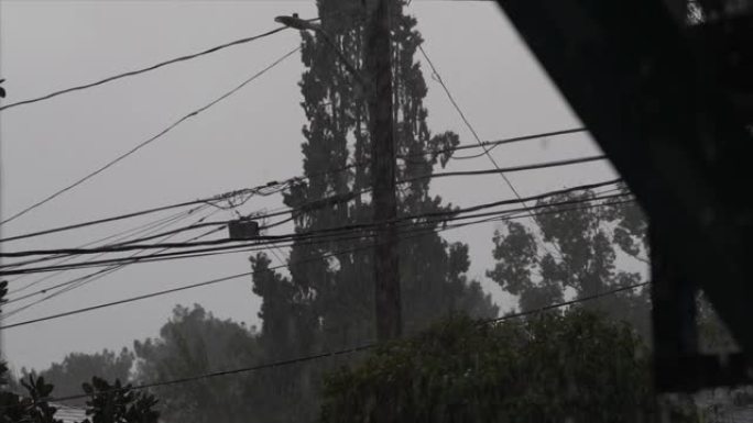 背景中的慢动作暴雨电力线和树木