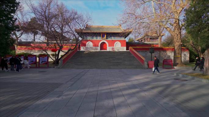 北京北海公园的自然风光阐福寺