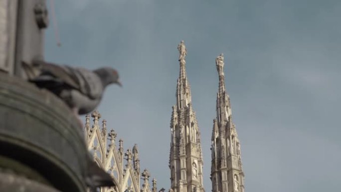 意大利米兰市大教堂广场的路灯杆上的Pidgeons