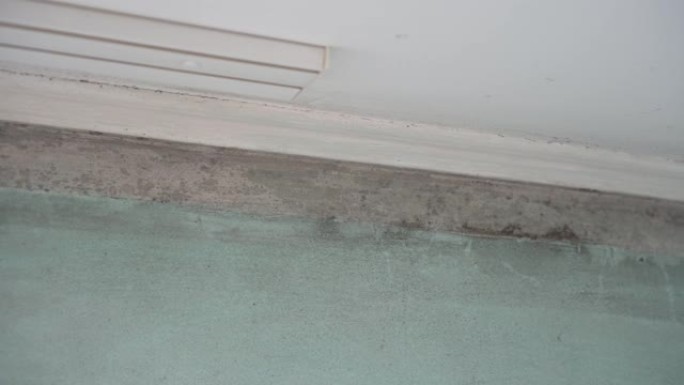 公寓楼墙上的黑色霉菌。建筑内的霉菌菌落生长