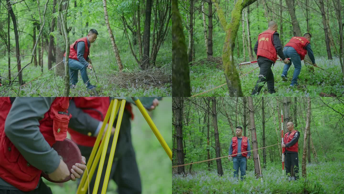 森林管护站工作人员在林区进行测量管护作业