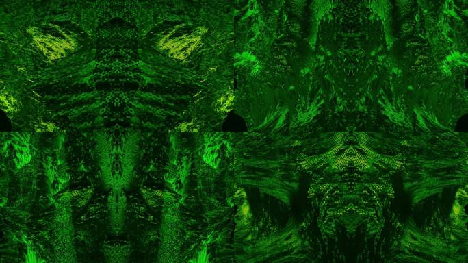 【4K时尚背景】绿色魔幻花纹迷幻光影空间