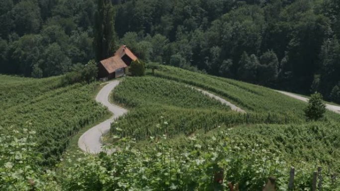 斯洛文尼亚著名的心形葡萄酒之路。马里博尔斯派尼克。