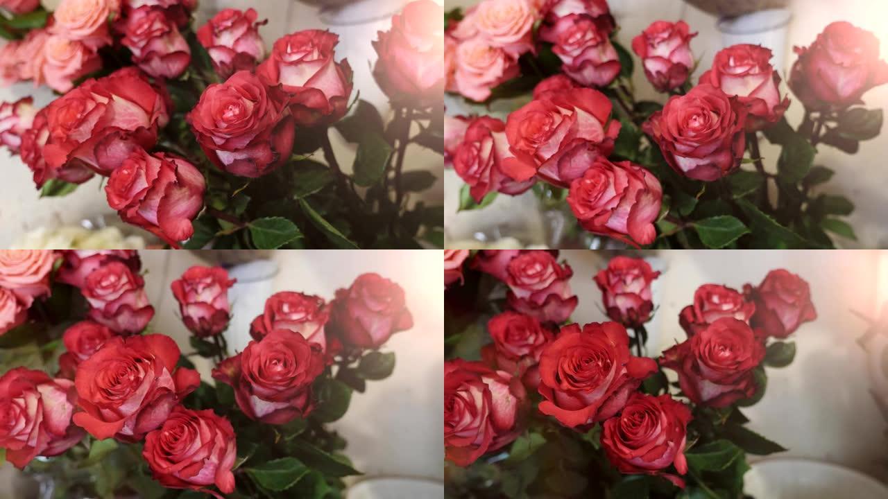 红玫瑰和白玫瑰的华丽特写视图，精美的花瓣，精致的气味和棘手的茎放在精品店的桶中。