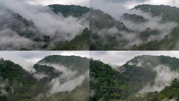Umphang野生动物保护区的Tee Lo Su瀑布的延时。Tee Lo Su据称是泰国西北部最大，