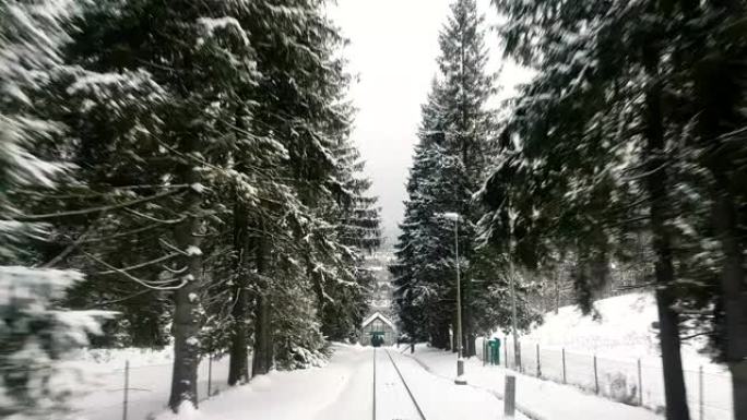 在冬天的白天，从快速行驶的火车上看到直轨，高高的冷杉树和大雪覆盖的山坡，令人印象深刻