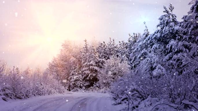 童话冬季森林-4k循环