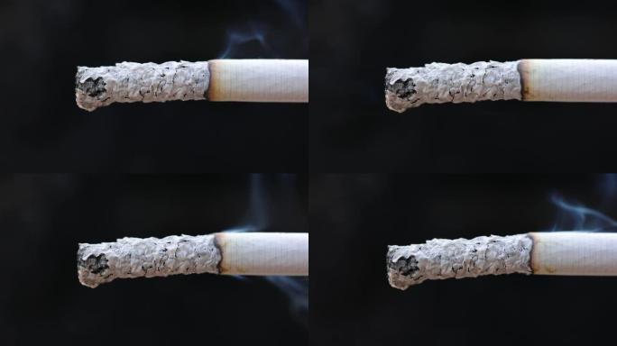 香烟细节雪茄中的宏观烟雾
